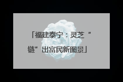 福建泰宁：灵芝“链”出富民新图景